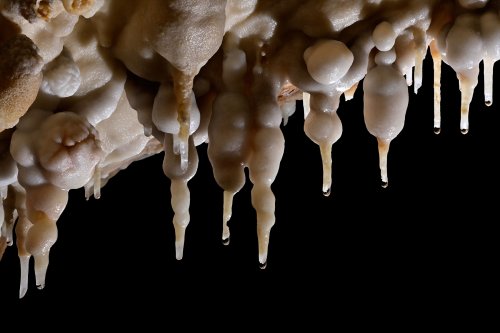 Grotte de Foissac - Détail de stalactites avec bulbes dans leur partie supérieure (SP-22-1271)