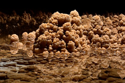 Grotte de Foissac (réseau FFS) - Cristallisations de calcite dans un gour(SP-22-1221)