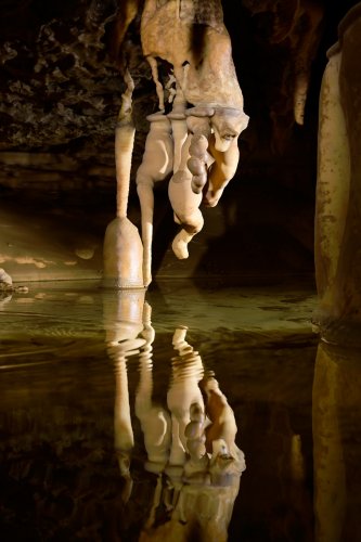 Grotte de Foissac (Trou qui Fume) - Groupe d'excentriques se reflétant dans une petite vasque  (SP-22-1233)