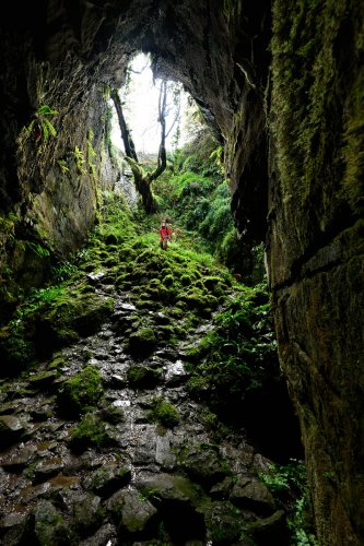 Pollnagullum (Burren, Irlande) - Doline d'entrée envahie par la végétation(SP-22-1855)