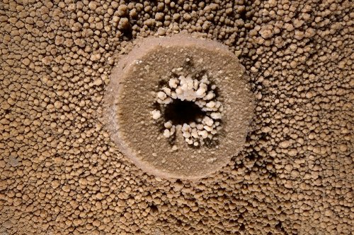 Grotte de Roquebleue (Hérault) - Galerie des volcans - Détail d'un "volcan" (vu de haut) (SP-22-2412)