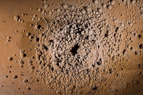 Grotte de Roquebleue (Hérault) - Galerie des volcans - Détail d'un "volcan" étalé (vu de haut) (SP-22-2420)