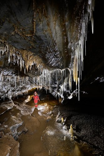 Grotte de Roquebleue (Hérault) - Progression dans une galerie concrétionnée avec balisage (avec spéléo)(SP-22-2478)