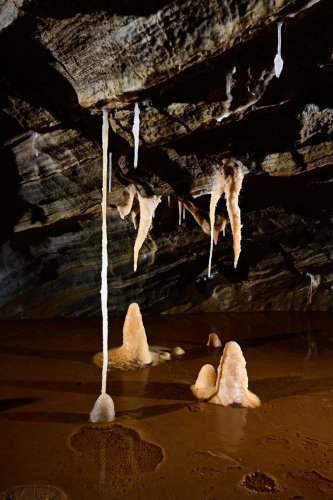 Grotte de Roquebleue (Hérault) - Galerie des volcans - Ensemble de concrétions dans un gour (fistuleuse, stalactites, stalagmites)(SP-22-2428)