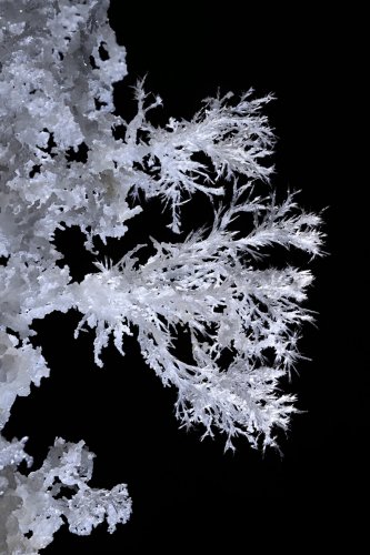 Grotte de Roquebleue (Hérault) - Galerie des volcans - Petit bouquet d'aragonite sur une paroi(SP-22-2460)