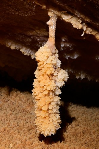 Grotte de Roquebleue (Hérault) - Galerie des volcans - Détail d'une massue cristallisées(SP-22-2405)