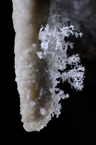 Grotte de Roquebleue (Hérault) - Galerie des volcans - Brosse à dent sur une stalactite massive(SP-22-2458)