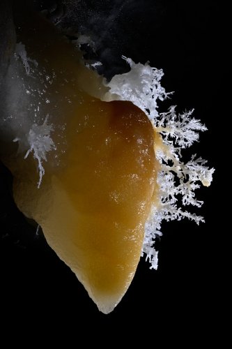 Grotte de Roquebleue (Hérault) - Galerie des volcans - Le "coeur" : petite stalactite massive de calcite orange avec fines excentriques blanches d'aragonite (vue latérale)(SP-22-2455)