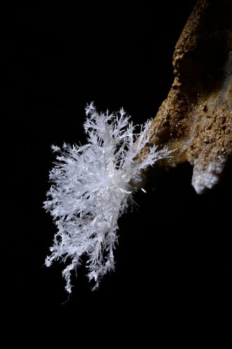 Grotte de Roquebleue (Hérault) - Galerie des volcans - Petit bouquet d'aragonite au bout d'une lame rocheuse(SP-22-2435.jpg)