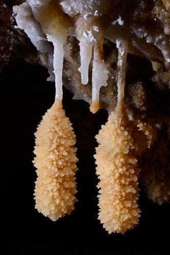 Grotte de Roquebleue (Hérault) - Galerie des volcans - Deux massues cristallisées (SP-22-2396.jpg)