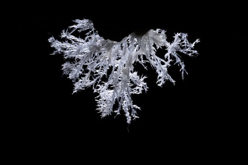 Grotte de Roquebleue (Hérault) - Galerie des volcans - Petit bouquet d'aragonite sur une paroi(SP-22-2431)