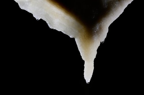 Grotte de Roquebleue (Hérault) - Galerie des volcans - Stalactite-draperie constituée de cristaux(SP-22-2391)