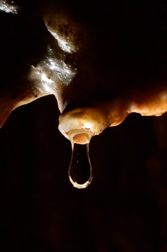 Baume du Mont (Doubs) - Goutte d'eau allongée au départ d'une stalactite(SP-22-2189)