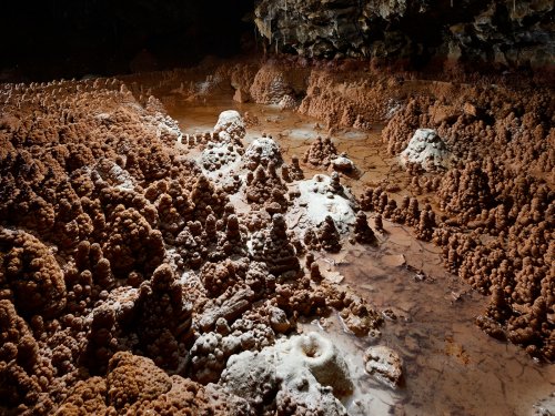 Grotte de Foissac (Aveyron) - Galerie des sapins(SP-23-0695)