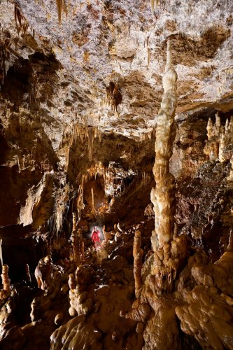 Grotte de Foissac (Aveyron) - Grande salle concrétionnée(SP-23-0628)