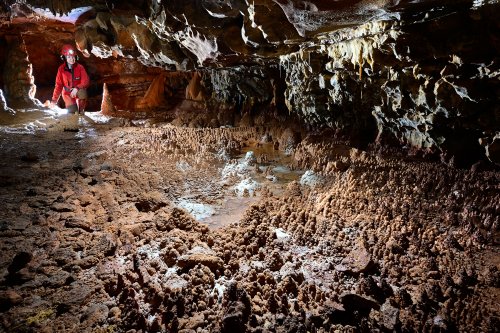 Grotte de Foissac (Aveyron) - Galerie des sapins(SP-23-0694.jpg)