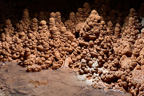 Grotte de Foissac (Aveyron) - Détail des sapins (argile recouverte de calcite)(SP-23-0701)