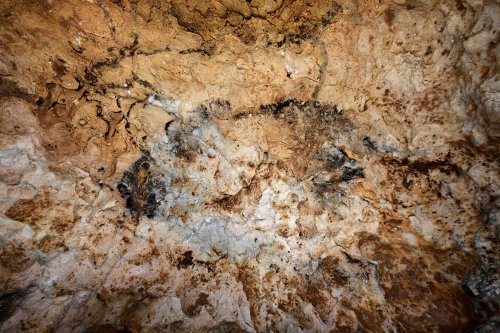 Grotte de Foissac (Aveyron) - Peinture rupestre : bison et renne  (SP-23-0685)