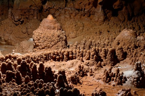 Grotte de Foissac (Aveyron) - Barrière constituée de petits "sapins" dans un gour(SP-23-0707)