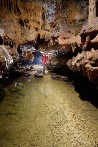 Grotte de Foissac (Aveyron) - Progression dans la rivière souterraine surmontée de concrétions(SP-23-0689)