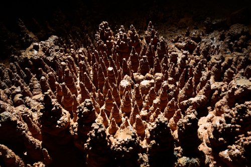Grotte de Foissac (Aveyron) - Ensemble de sapins de calcite(SP-23-0708)