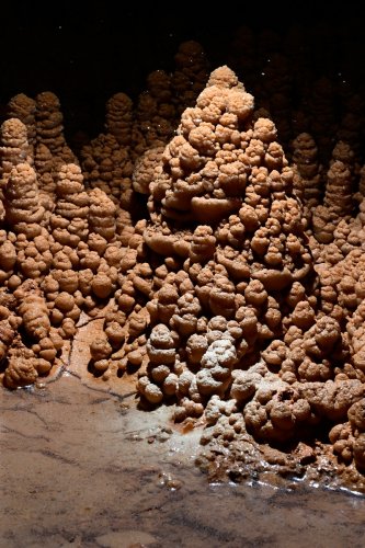 Grotte de Foissac (Aveyron) - Détail des sapins (argile recouverte de calcite)(SP-23-0702)
