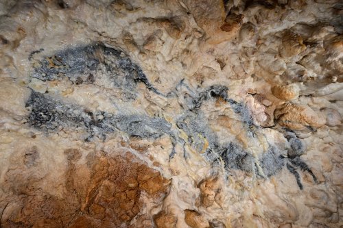 Grotte de Foissac (Aveyron) - Peinture rupestre de deux bisons datant du paléolithique (20 000 ans)(SP-23-0682)