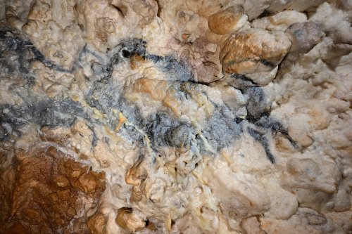 Grotte de Foissac (Aveyron) - Peinture rupestre : détail d'un bison datant du paléolithique (20 000 ans)(SP-23-0679)