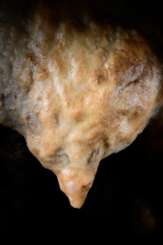 Grotte de Foissac (Aveyron) - Stalactite avec yeux peints  (SP-23-0677)