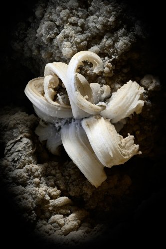 Malham cave (Mont Sodome, Israël) - Fleur de sel (SP-23-087)