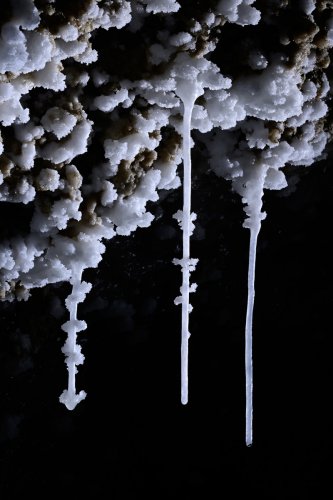 Colonel cave (Mont Sodome, Israël) - Stalactites de sel à la base du puits(SP-23-0807)