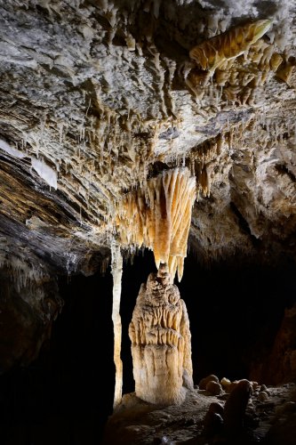 Grotte de la Devèze (Hérault) - Draperie et colonnes (partie touristique)(SP-23-0910)
