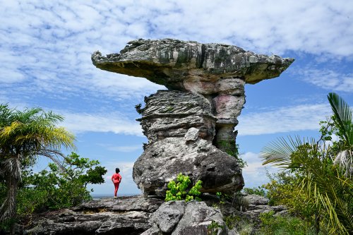 Monte Alegre (Pará, Brésil) - Grand rocher de grès dans le Parque Estudeal de Monte Alegre (horizontale)(VO-23-0929)