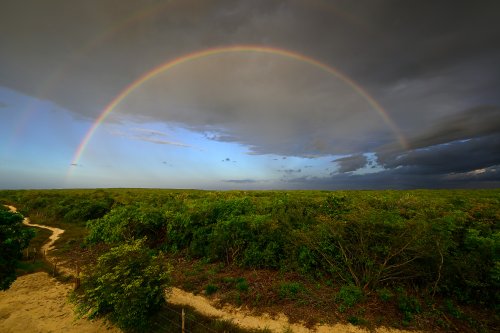 Barreirinhas (Maranhao, Brésil) - Arc en ciel complet sur une zone boisée(VO-23-1049)