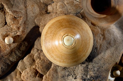Grotte du Pech Merle (Lot) - Perle des cavernes (pisolithe) en forme de toupie (SP-24-0705)