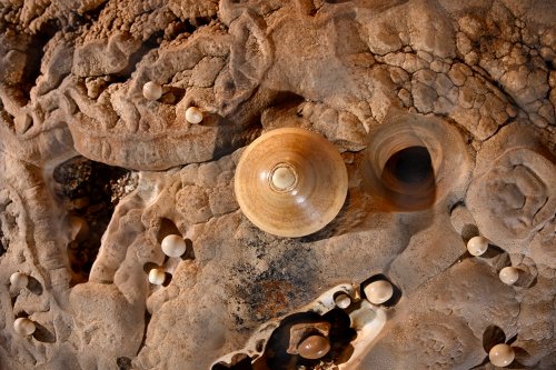 Grotte du Pech Merle (Lot) - Perle des cavernes (pisolithe) en forme de toupie (vue d'ensemble)(SP-24-0702)