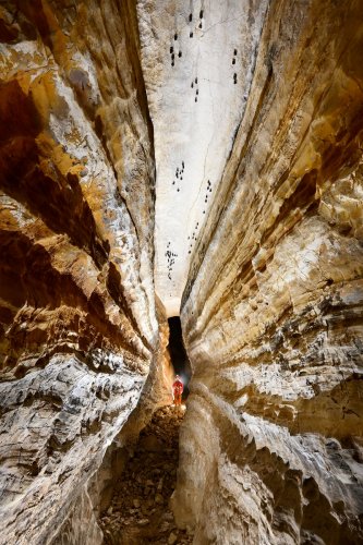 Grotte du Quercy - Grand méandre avec petits bancs de calcaires et plafond plat avec chauves-souris(SP-23-1842)