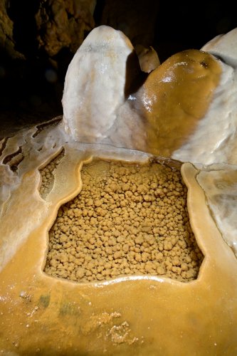 Grotte de Franconie n°2 (Allemagne) - Petit gour cristallisé de forme de rectangle.(SP-24-1668)