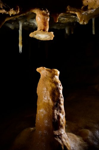 Grotte  de Franconie n°2 (Allemagne) - Colonne cassée disjointe avec collerette. (SP-24-1658)