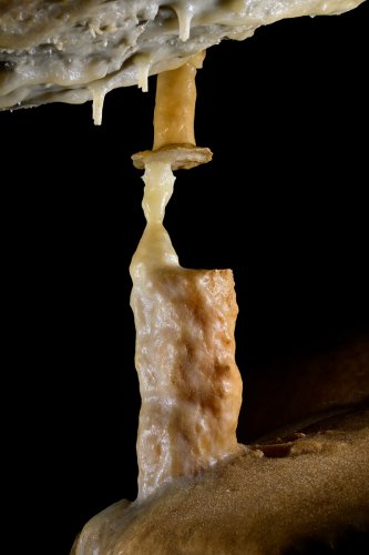 Grotte  de Franconie n°2 (Allemagne) - Colonne cassée disjointe avec collerette. Reprise du  concrétionnement entre les deux extrémités(SP-24-1657)