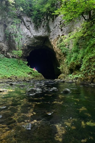 Tkalca Jama (Slovénie) - Rivière pénétrant dans le porche d'entrée de la cavité.(SP-24-1807)