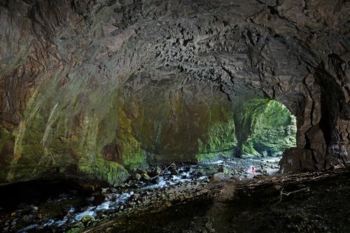 Tkalca Jama (Slovénie) - Porche d'entrée vu de l'intérieur(SP-24-1812)