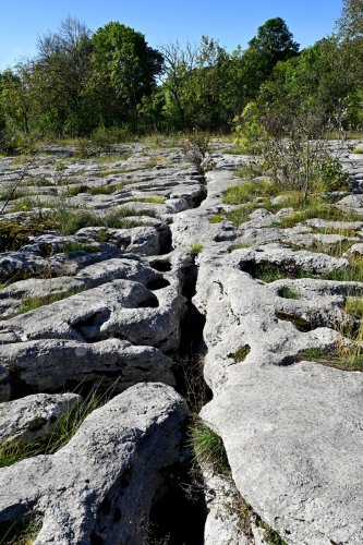 Lapiaz de Mont-sur-Monnet (Jura) - Fracture karstifiée(HY-24-0129)