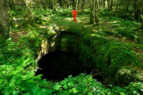 Sentier karstique de Besain (Jura) - Orifice d'un gouffre(HY-24-0185)