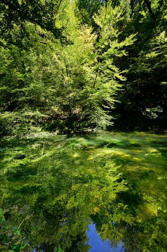 Source de l'Ain (Jura) lorsqu'elle coule (le conduit l'alimentant est alors complètement noyé)(HY-24-0149)