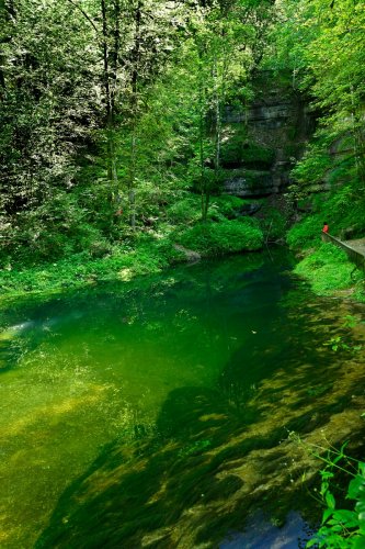 Source de l'Ain (Jura) lorsqu'elle coule (le conduit l'alimentant est alors complètement noyé)(HY-24-0145)
