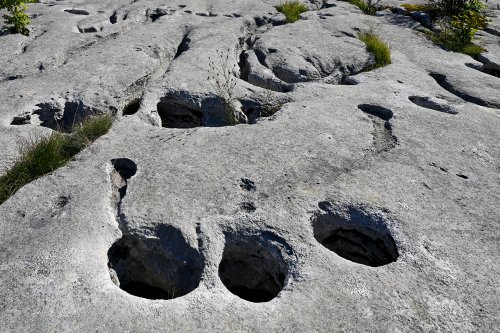 Lapiaz de Loulle (Jura)  - Détail  de  trous de dissolution(HY-24-0123)