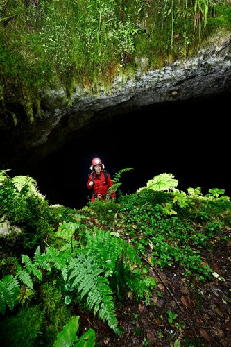 Grotte du Fourneau de Guémande (Doubs) - Spéléo dans l'entrée de la grotte avec fougères en premier plan (verticale)(SP-24-2311)