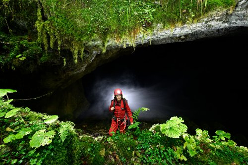 Grotte du Fourneau de Guémande (Doubs) - Spéléo dans l'entrée de la grotte avec végétation en premier plan(SP-24-2309)