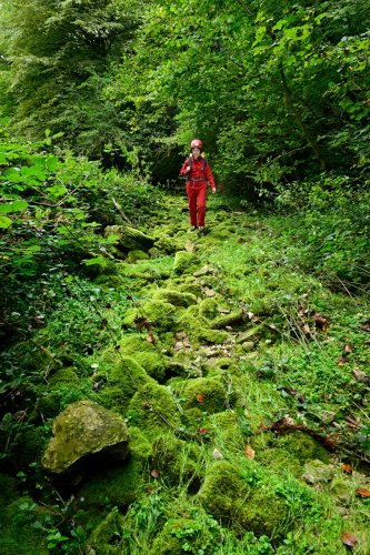 Grotte de la grande Baume (Doubs) - Lit du ruisseau à sec recouvert de mousses alimenté par l'écoulement temporaire sortant de la grotte (SP-24-2261)